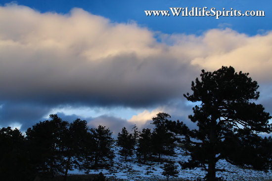 Click Picture to send as an  E-PostCard 62k 550x367